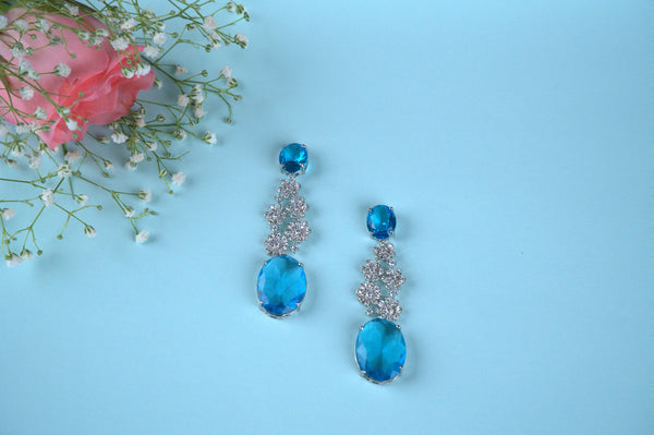 Eternal Gleam Earrings AD-1043